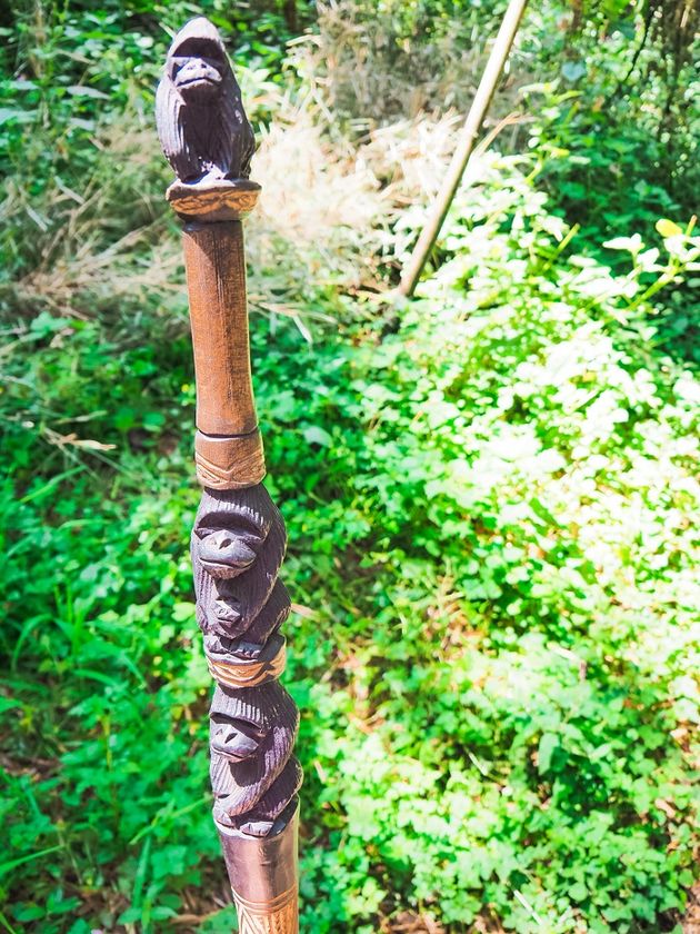 wandelstok-gorilla-tracking.jpeg