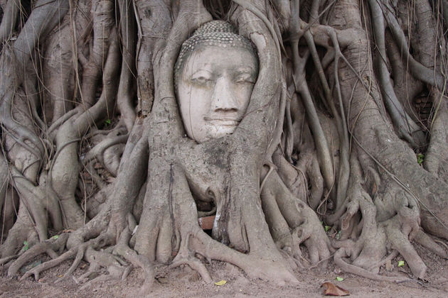 wat-phra-mahathat-ayutthaya.jpeg