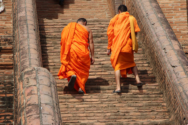 Monniken in oranje in Wat Yai Chai Mongkhon