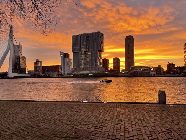 watertaxi-rotterdam.jpeg