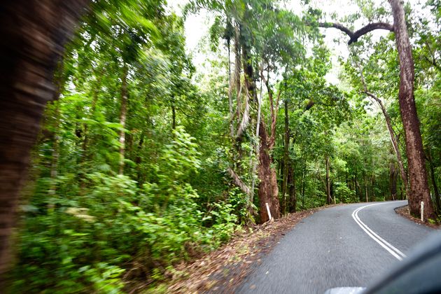 Rijden door het regenwoud