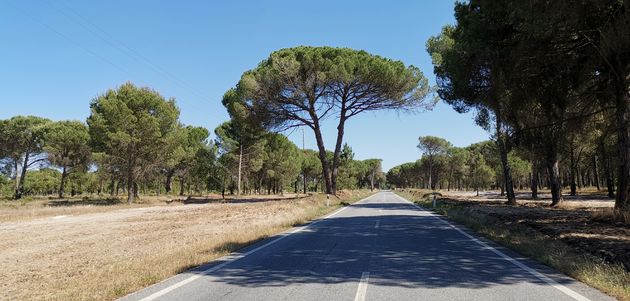 Prachtige wegen in Alentejo