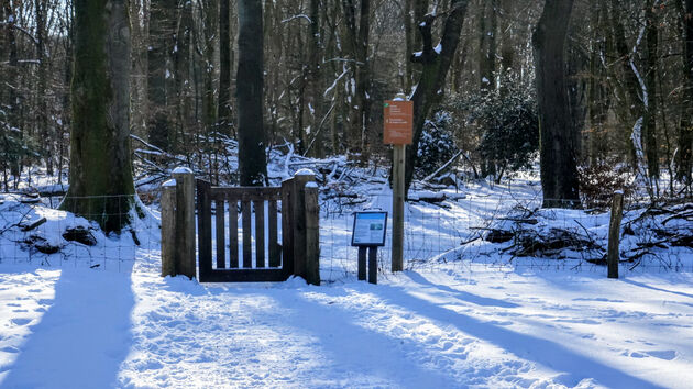 Welkom in het Speulderbos