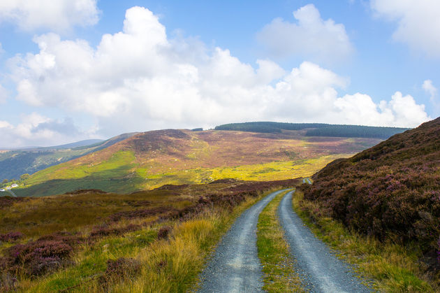 Deze Ierse heuvel zie je tijdens de Wicklow WayFoto: twista87 - fotolia