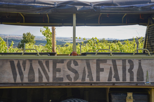 Met deze speciale winesafari truck trek je de Slowaakse wijnvelden in