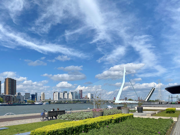 Uitzicht vanaf de kop van de pier op de skyline en de Erasmusbrug.