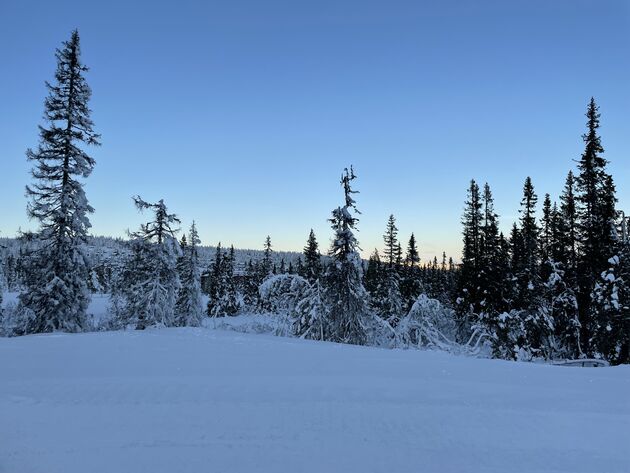 <em>Betoverende plaatjes dankzij de besneeuwde boomtoppen.<\/em>