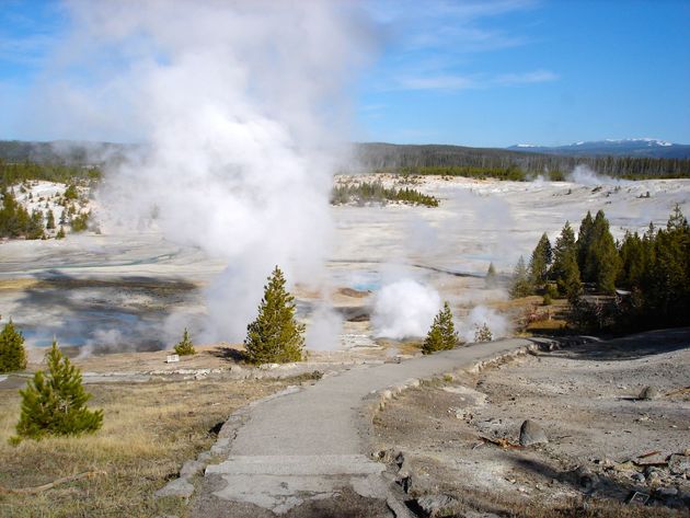 Geisers in Yellowstone National Park