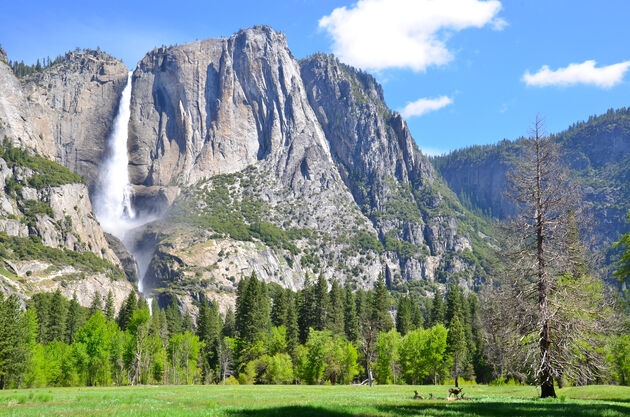 Een must-see in Yosemite National Park\u00a9 A.Hornung - Adobe Stock