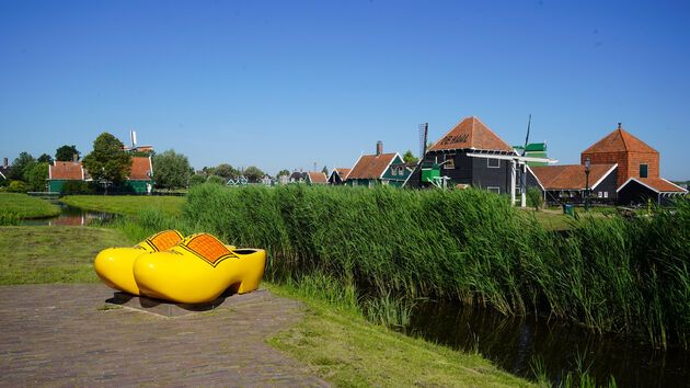 Meer Nederlands kan bijna niet, nou ja koeien!