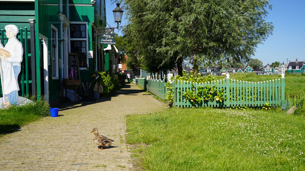 Het leukste straatje van de Zaanse Schans, wel smal dus..