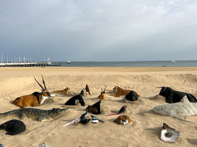 Bijzondere zandsculpturen