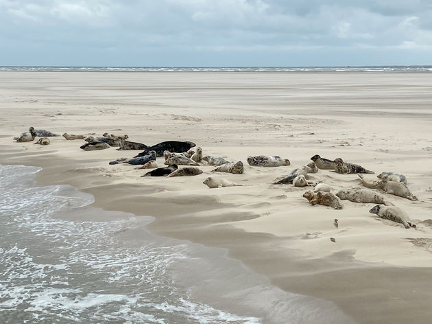 Een van de leukste dingen om te doen op Terschelling