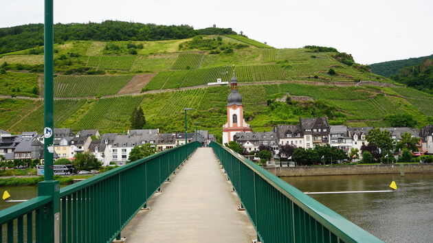 De prachtige voetgangersbrug bij Zell met opde achtergrond natuurlijk wijnranken