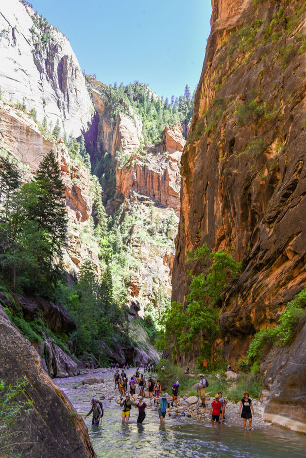 The Narrows is de natste hike ter wereld: dwars door Zion Canyon