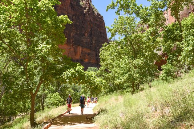Voor we aan the Narrows beginnen nemen we de Riverside Walk naar het begin van Zion Canyon