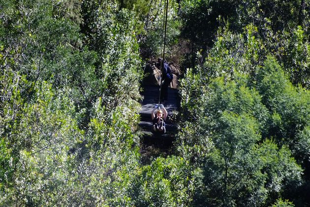 Zweven door het prachtige groene Tsitsikamma National Park!