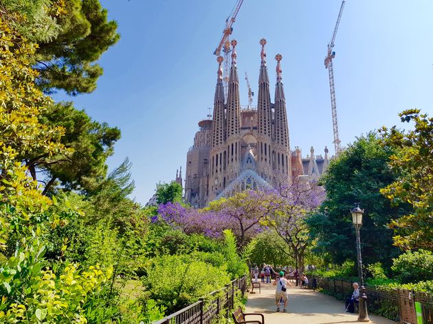 zomer-barcelona-9.jpeg