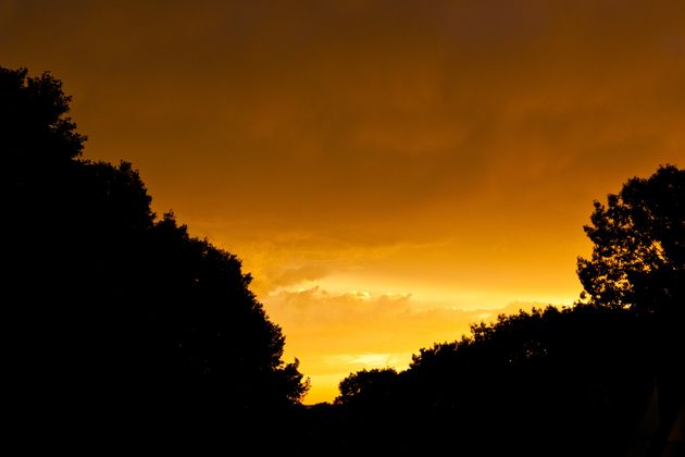 Met bomen voor de zon wordt de foto interessanter