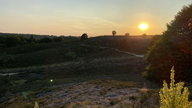 Een landschap wat iedere minuut van kleur verandert