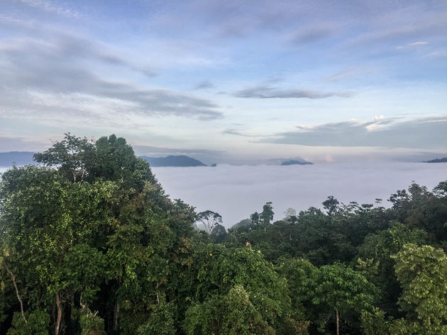 Zo ziet de zonsopkomst in de jungle eruit. Het geluid van de gibbons moet je er even bij denken.