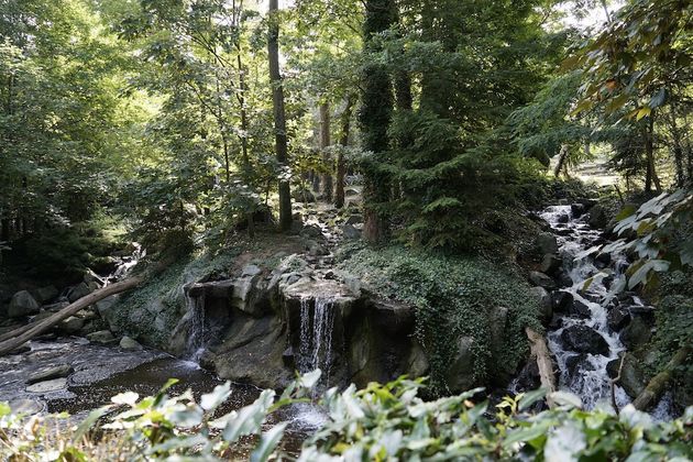 Het bos van de Grizzly beren