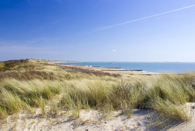 zoutelande-mooiste-stranden-nederland