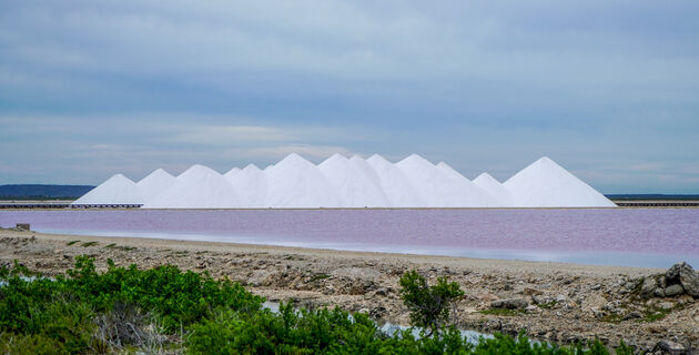 <i>De witte zoutbergen steken helemaal mooi af bij het roze water</i>