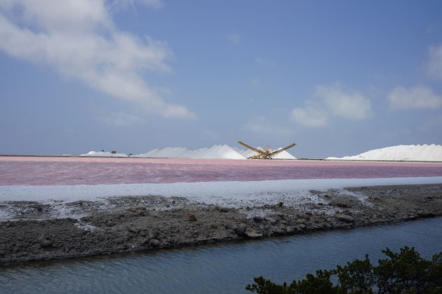 zoutvlaktes-bonaire.jpeg