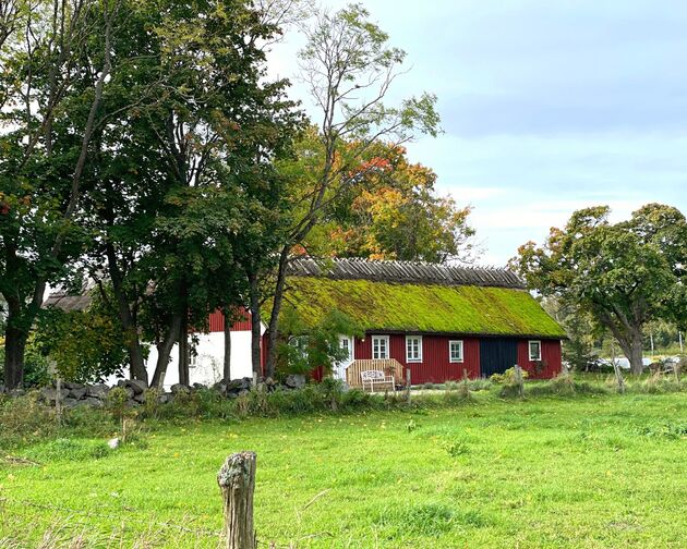 zweden-mountainbiken.jpeg
