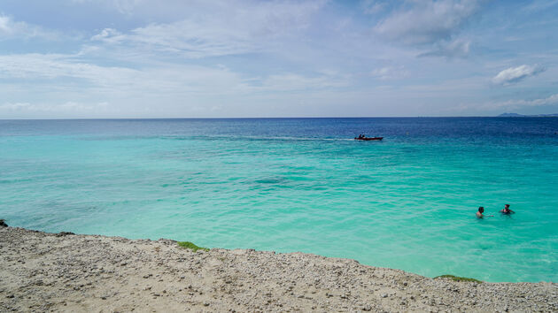 zwemmen-bonaire.jpeg